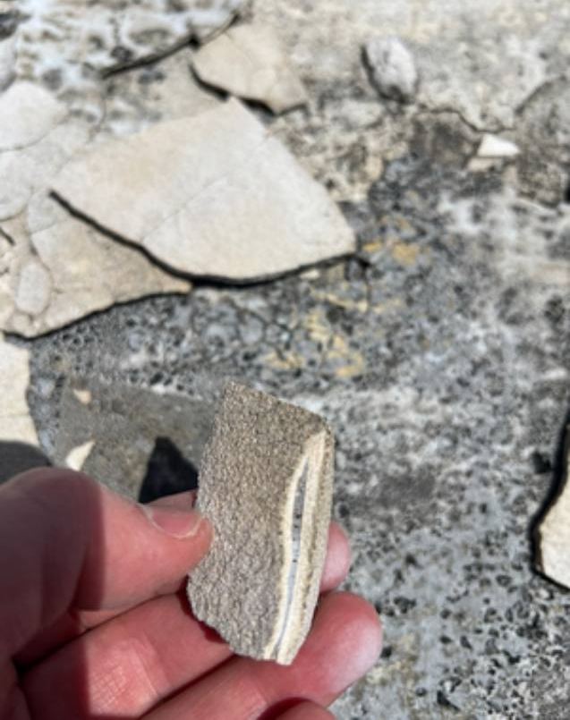 Fragment of delaminated membrane and screed held in hand