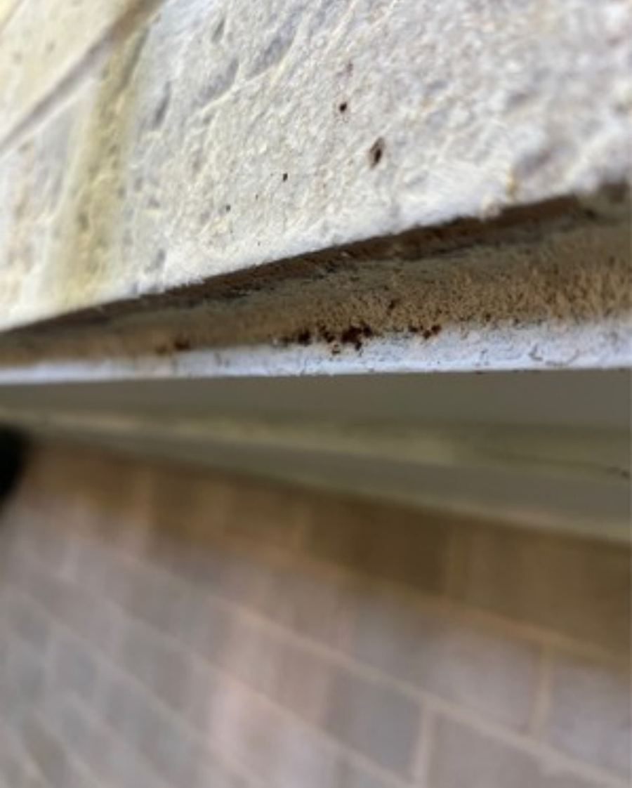 Brickwork overhanging a corroded steel support beam