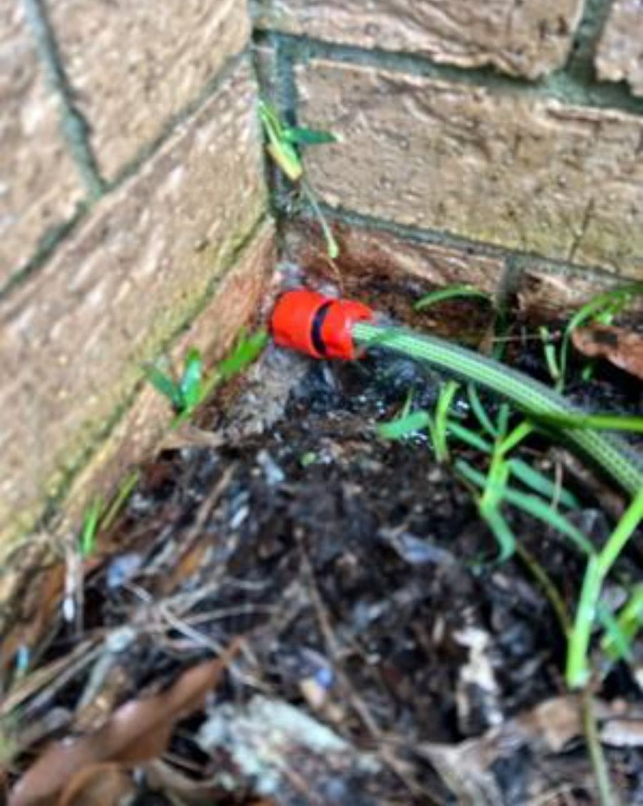 Garden hose running water against the base of an external brick wall